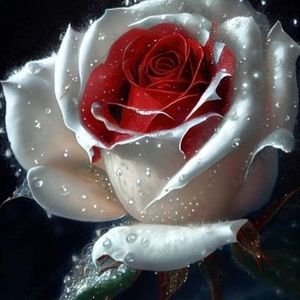 Meet your Posher, Noemi